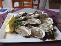 Oysters