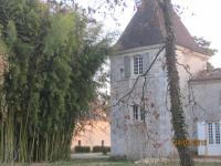 Chateau de Puyrigaud