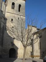 Uzès