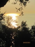 L’Oasis Hotel and Méditerrané’o‎ Restaurant