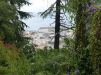 P1030500