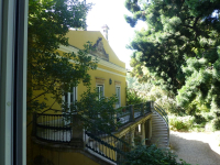 P1030537