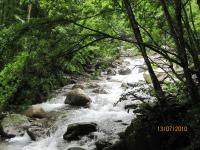 Mountain stream