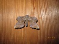 Yet another moth