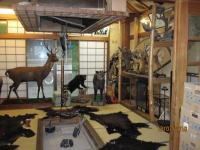 Exhibition room Kani no Yu