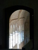 p1000564