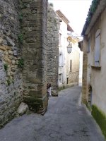p1000631