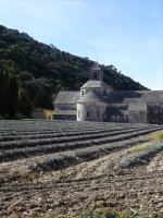 p1000672