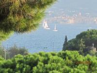 Regates-Royales-2009-13