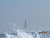 Regates-Royales-2009-17