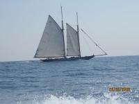 Regates-Royales-2009-18