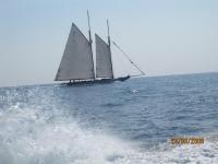 Regates-Royales-2009-19