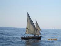 Regates-Royales-2009-21