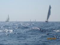 Regates-Royales-2009-29