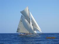 Regates-Royales-2009-31