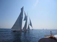 Regates-Royales-2009-32