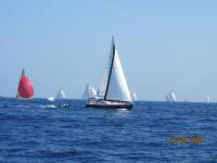 Regates-Royales-2009-42