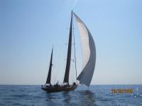 Regates-Royales-2009-44