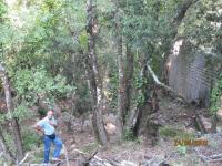 Regates-Royales-2009-9