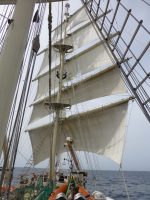 P1020584