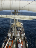 P1020595