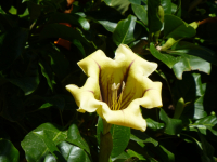 P1020608