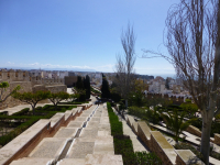 P1020628