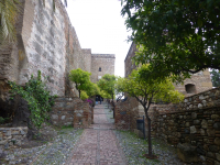 P1020712