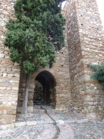P1020714